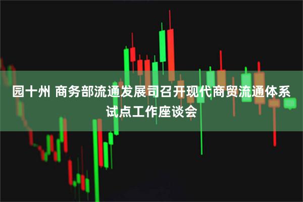 园十州 商务部流通发展司召开现代商贸流通体系试点工作座谈会