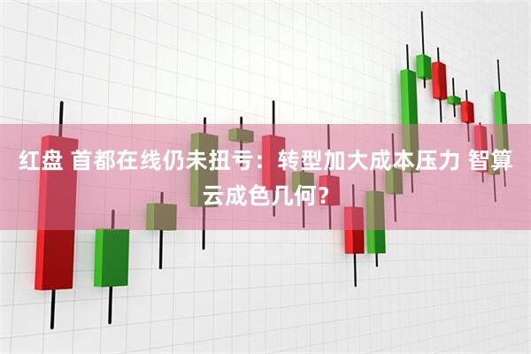 红盘 首都在线仍未扭亏：转型加大成本压力 智算云成色几何？