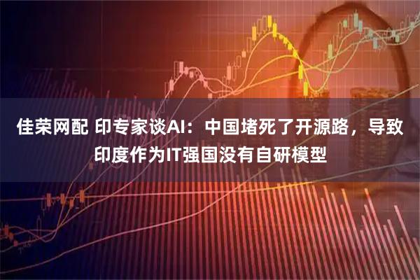 佳荣网配 印专家谈AI：中国堵死了开源路，导致印度作为IT强国没有自研模型