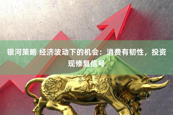 银河策略 经济波动下的机会：消费有韧性，投资现修复信号