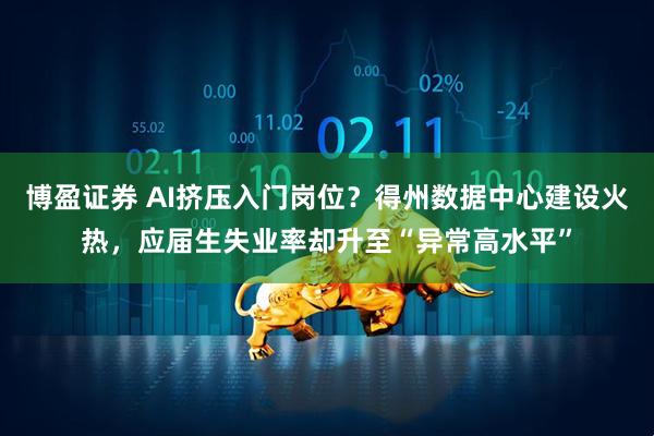 博盈证券 AI挤压入门岗位?得州数据中心建设火热,应届生失业率却升至“异常高水平”